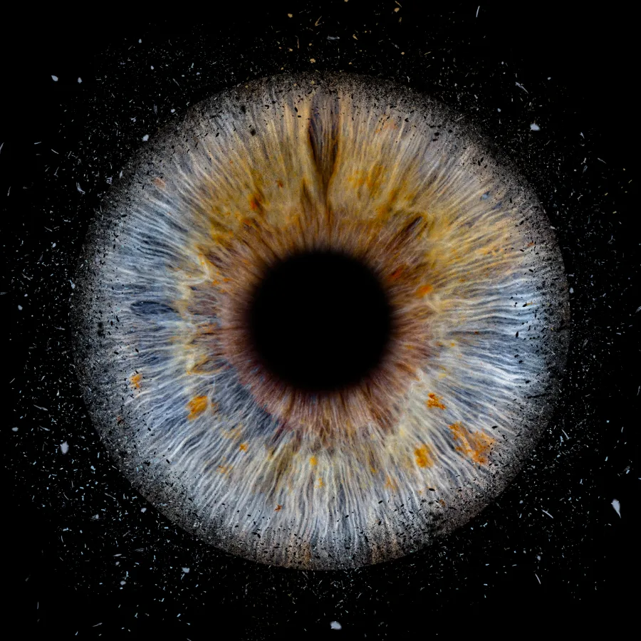 Explosion · Bernstein – Irisfotografie als Wandbild von JALES – feine Motive