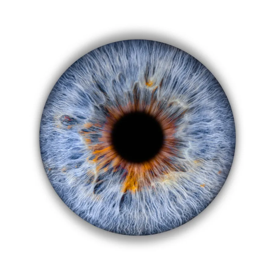 Heller Hintergrund – Irisfotografie als Wandbild von JALES – feine Motive