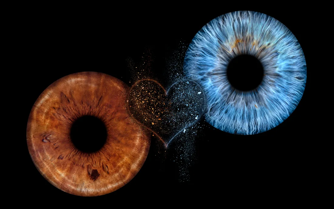 Zwei Iriden als Herzexplosion mit blauem und goldenem Iris-Motiv auf schwarzem Hintergrund