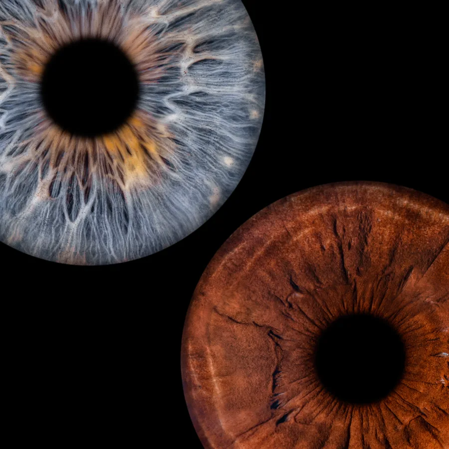 Zwei Iriden · Klassisch – Irisfotografie als Wandbild von JALES – feine Motive