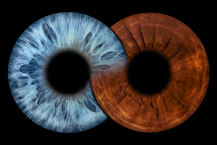 Zwei Iriden · Unendlichkeit – Irisfotografie als Wandbild von JALES – feine Motive