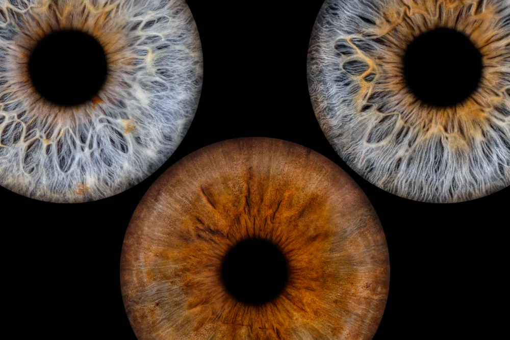 Drei Iriden · Anordnung – Irisfotografie als Wandbild von JALES – feine Motive