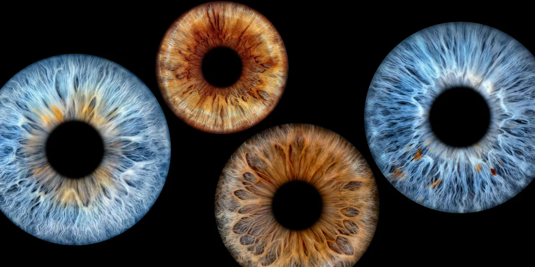 Vier Iriden · Anordnung – Irisfotografie als Wandbild von JALES – feine Motive