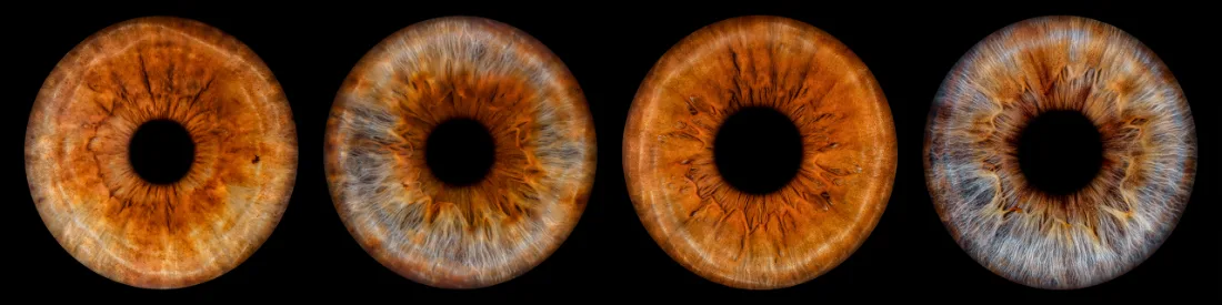 Vier Iriden · Reihe – Irisfotografie als Wandbild von JALES – feine Motive
