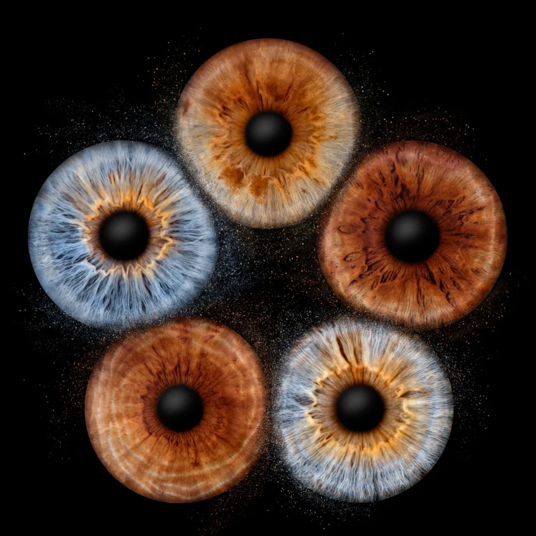 Fünf Iriden · Explosion – Irisfotografie als Wandbild von JALES – feine Motive