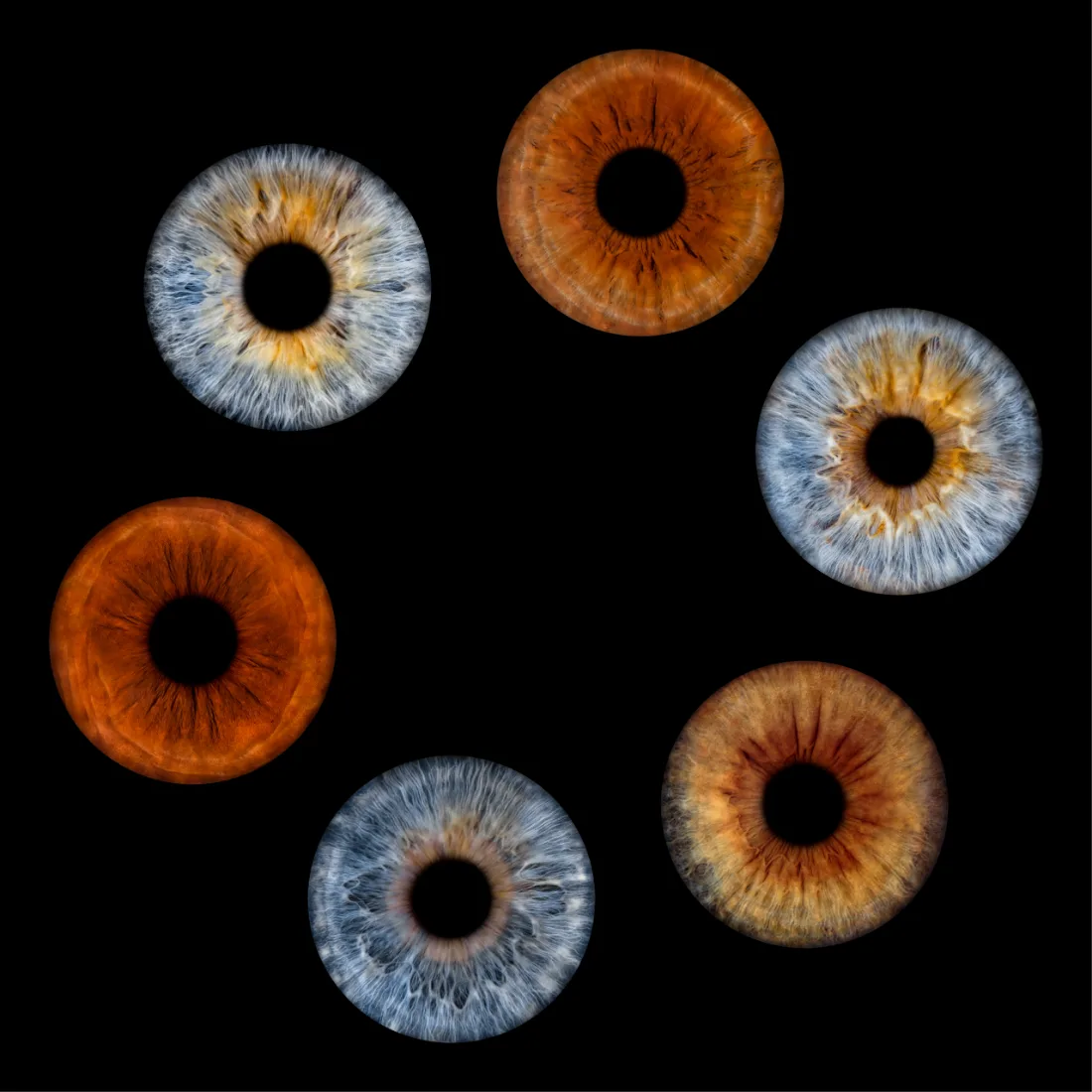 Sechs Iriden · Anordnung – Irisfotografie als Wandbild von JALES – feine Motive